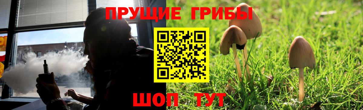 Вятские Поляны  Галлюциногенные грибы прущие грибы  Вход с VPN 